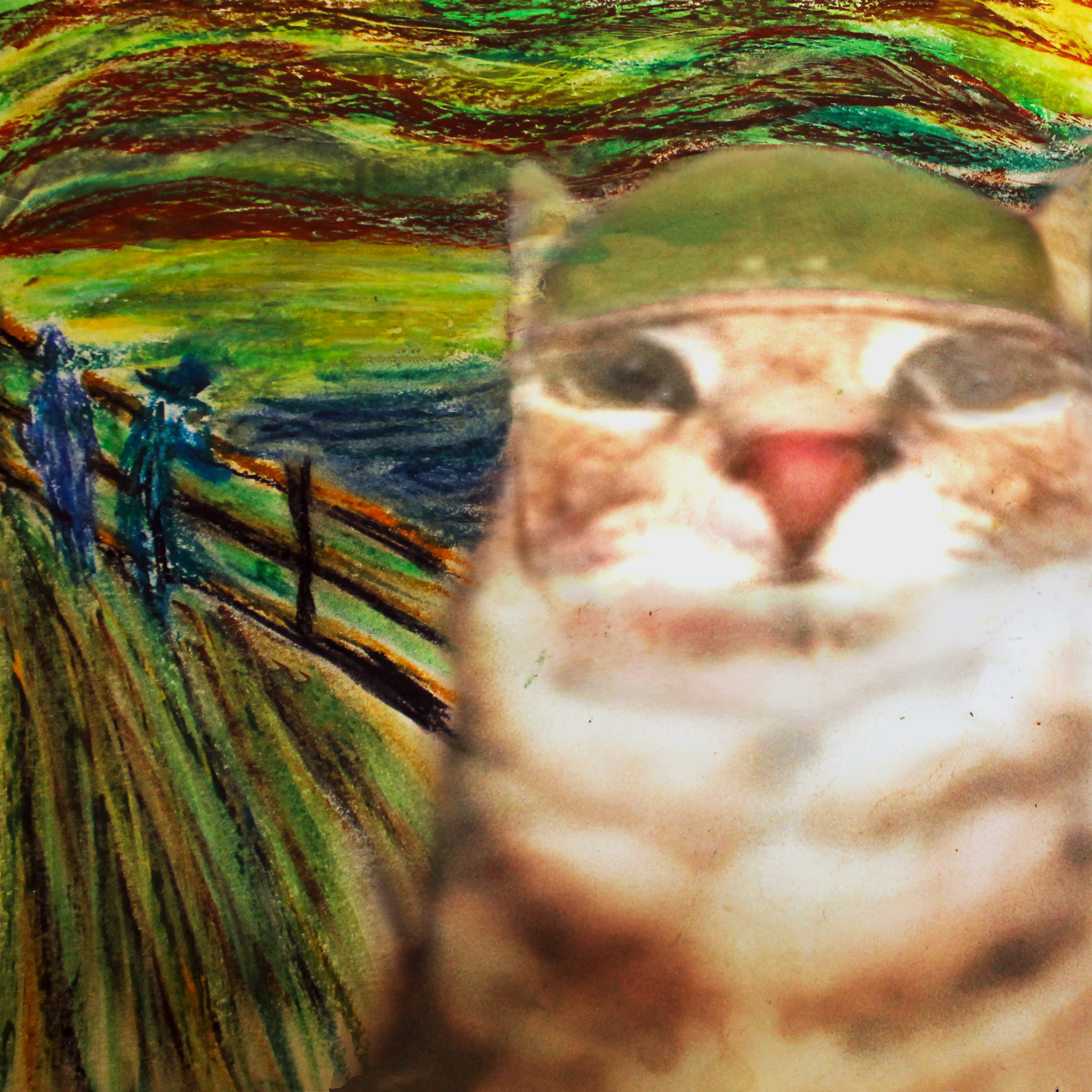 War cat